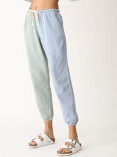Ester Sweatpant - Block Palm Green/Blue